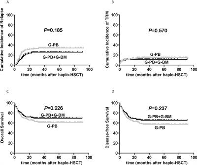 Influence of graft composition in patients with hematological malignancies undergoing ATG-based haploidentical stem cell transplantation